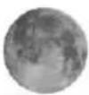 TECHNOLINE WS 6462 - Lunar phases and tide indicator: - 7