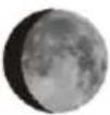 TECHNOLINE WS 6462 - Lunar phases and tide indicator: - 6