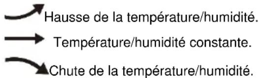TECHNOLINE WS 6462 - Affichage de la température/humidité/pression atmosphérique et tendance de la température/humidité - 1