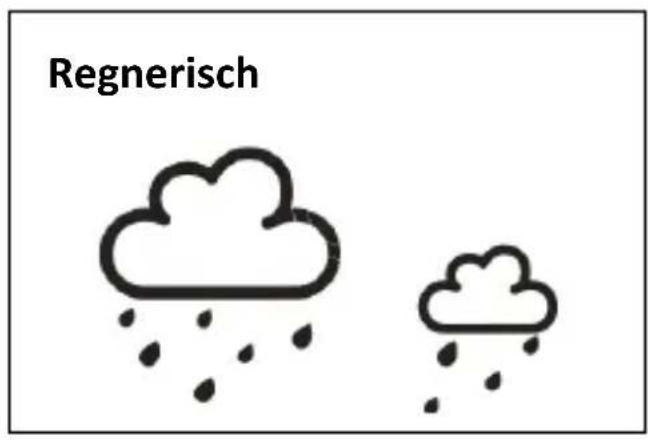 TECHNOLINE WS 9485 - Wettersymbole - 4