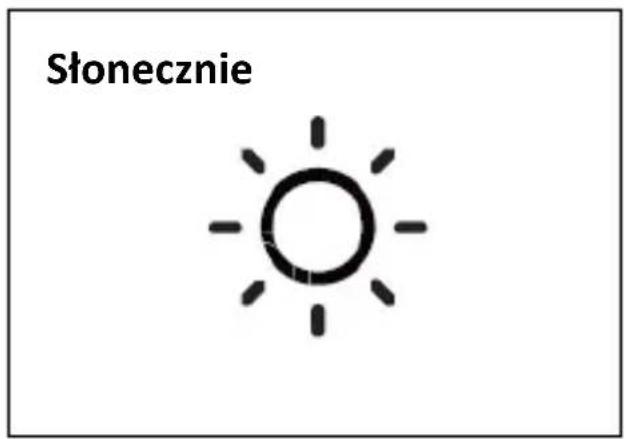 TECHNOLINE WS 9485 - Warunki pogodowe - 1