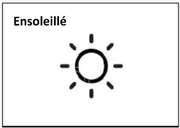 TECHNOLINE WS 9485 - Conditions météo - 1