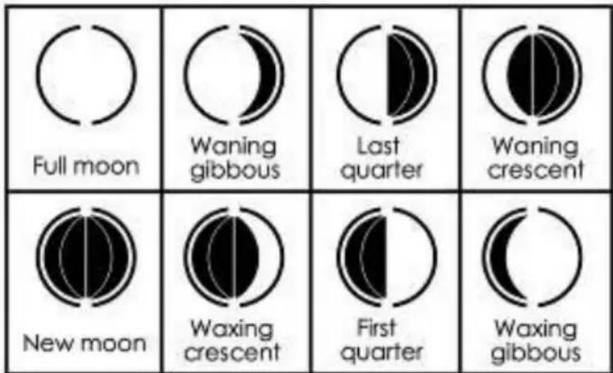 TECHNOLINE WS 9050 - Moon phases: - 1