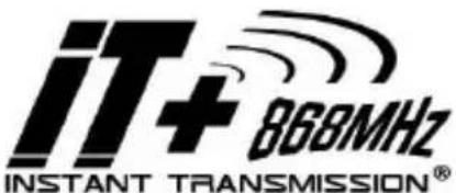 TECHNOLINE WS 9632 - INTRODUCCION: - 1