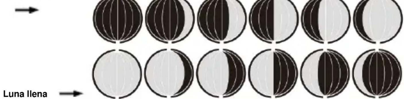 TECHNOLINE WS 6767 - Luna nueva - 1