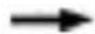 TECHNOLINE WS 6767 - Fase lunare: - 1