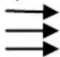 TECHNOLINE WS 6767 - Indicatore marea; - 1