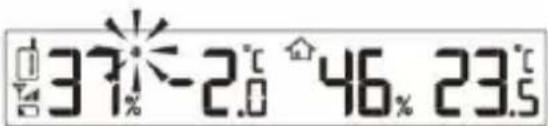 TECHNOLINE WS 8011 - ALERTE AU GEL - 2