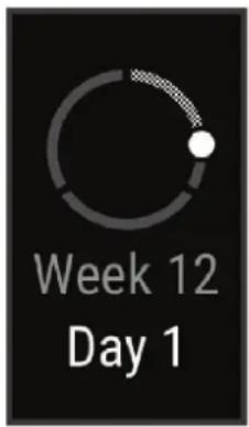 GARMIN Vivosmart 5 - Enregistrement de vos informations de grossesse - 1