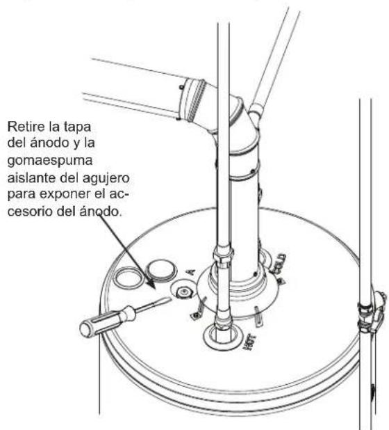 GE GG40S10BXR - Inspección de la Varilla del Ánodo: - 1