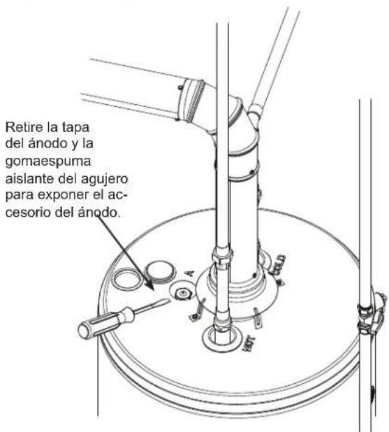 GE GG30S08BXR - Inspeccion de la Varilla del Anodo: - 1