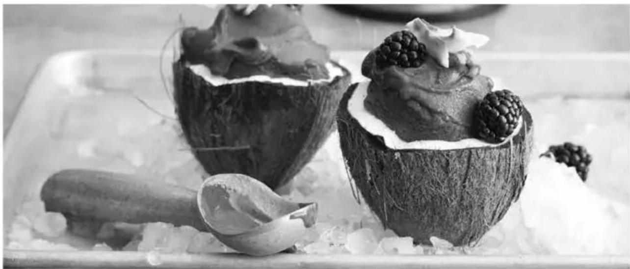 GRAEF HB 802 - GEEISTE KOKOSNUSS MIT BROMBEERSORBET - 1