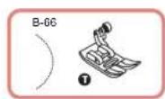 VERITAS Amelia - Muschelstiche - 1