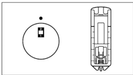 VERITAS JSB21 - Attach buttonhole foot. - 2