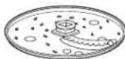 HAMILTON BEACH 70671 - Parts and Features - 5