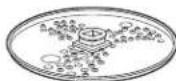 HAMILTON BEACH 70671 - Parts and Features - 4