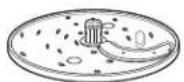 HAMILTON BEACH Stack & Snap 70728 - Partes y Caracteristicas - 3