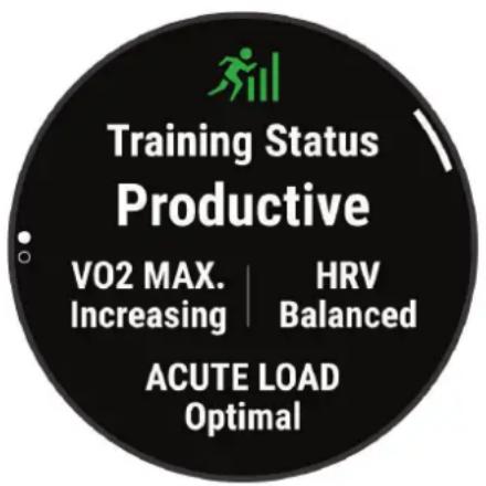 GARMIN D2 Mach 1 - Statut d'entraînement - 1
