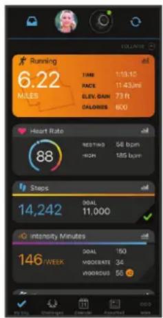 GARMIN D2 Mach 1 - Garmin Connect - 1