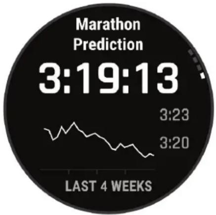 GARMIN D2 Mach 1 - Affichage de vos prévisions de temps de course - 1