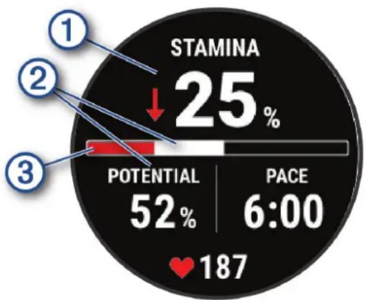 GARMIN D2 Mach 1 - Affichage de votre Stamina en temps réel - 1