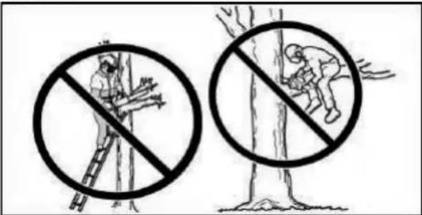 POULAN Pro PR150N21RH3 - Utilisation de la SCIE - 1