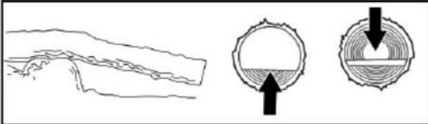 POULAN Pro PR150N21RH3 - TYPES de SCIAGE en travers - 4