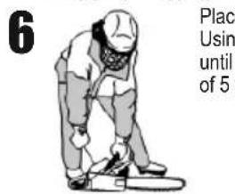 POULAN Pro PR150N21RH3 - 6