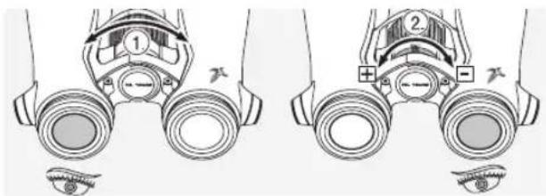 SWAROVSKI OPTIK NL Pure 10x42 - Verwendung bei entsprechlicher Sehbraft beider Augen - 1