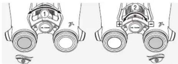 SWAROVSKI OPTIK NL Pure 10x42 - DIOPTER ADJUSTMENT - 2