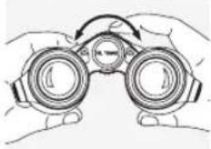 SWAROVSKI OPTIK NL Pure 10x42 - AJUSTE DEL ENFOQUE - 1