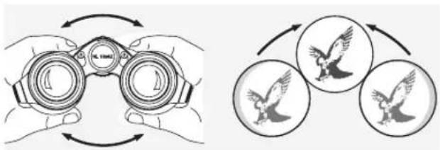 SWAROVSKI OPTIK NL Pure 10x42 - PEGYJINPOBKA PACCTOHHMEXKONYOKJIAPAMN - 1
