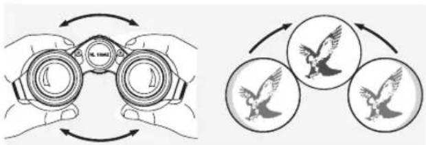 SWAROVSKI OPTIK NL Pure 10x42 - DE AFSTAND TUSSEN DE OculAIRS INSTELLEN - 1