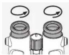 SWAROVSKI OPTIK EL 10x42 - ADJUSTING THE TWIST-IN EYECUPS - 1