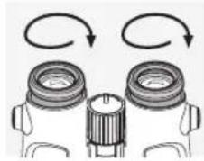 SWAROVSKI OPTIK EL 10x42 - ADJUSTING THE TWIST-IN EYECUPS - 3