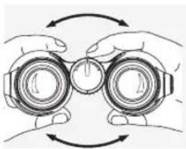 SWAROVSKI OPTIK EL 10x42 - ADJUSTING THE INTERPUPILLARY DISTANCE - 1
