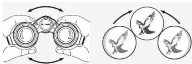 SWAROVSKI OPTIK NL Pure 12x42 - REGOLAZIONE DELLA DISTANZA TRA GLI OCULARI - 1