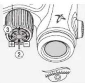 SWAROVSKI OPTIK CL Companion 8x30 B - MESSA A FUOCO DELL'IMMAGINE - 2