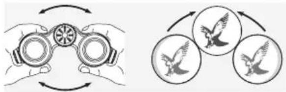SWAROVSKI OPTIK CL Companion NOMAD 8x30 - ADJUSTMENT OF INTERPUPILLARY DISTANCE - 1
