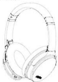 Srhythm NiceComfort 35 - Marcacion por voz - 1