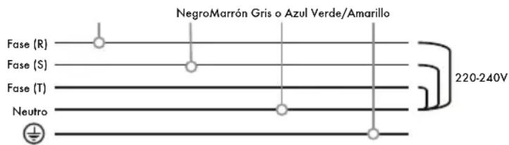 Iberital IB7 - V TRES FASES CON NEUTRO (MÁQUINAS 1-2-3 GRUPOS) - 4