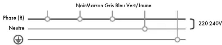 Iberital IB7 - V - 240 V UNE PHASE AVEC NEUTRE (MACHINES 1-2-3 GROUPES) - 1