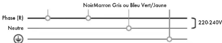 Iberital IB7 - V - 240 V UNE PHASE AVEC NEUTRE (MACHINES 1-2-3 GROUPES) - 1