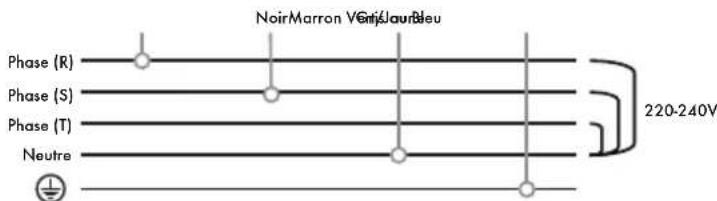 Iberital IB7 - V DEUX PHASES AVEC NEUTRE (MACHINES 1-2-3 GROUPES) - 1