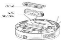 Concept Perfect Clean VR3510 - Peria principala (curataj periodic) - 1