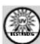 PARKSIDE IAN 373458 - Remarque! - 5