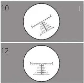 10 L 12