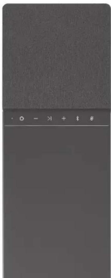 DEVIALET Dione - MÄNGIMISEKS SPOTIFY CONNECTI KAUDU - 2