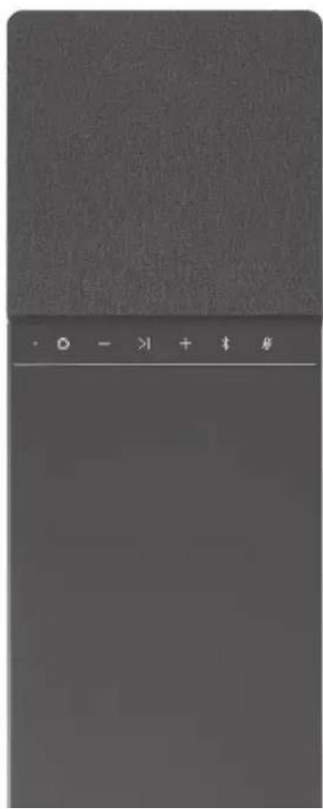 DEVIALET Dione - PREHRAVANI PROSTREDNICTVIM SLUZBY SPOTIFY CONNECT - 4