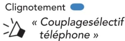 Clignotement « Couplagesélectif téléphone »